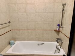 Seletar Springs Condominium (D28), Condominium #583435051